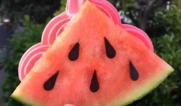 网红吃瓜现象,揭秘网络时代的“瓜田”盛景