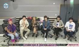 嘉宾爆料阿姨视频大全集