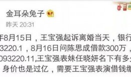 马蓉爆料洗白自己视频,揭秘背后不为人知的辛酸历程