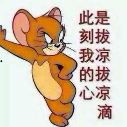 吃瓜群众照片可爱,吃瓜群众捕捉到的可爱瞬间